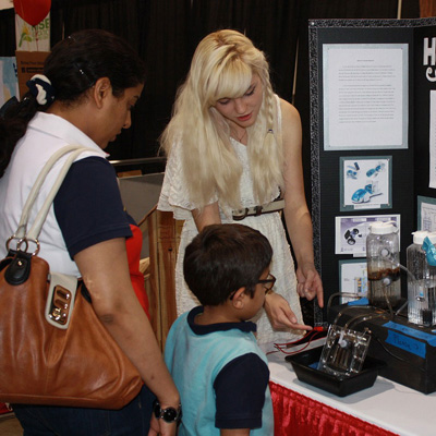 卡密批发市场的网站防ddos攻击